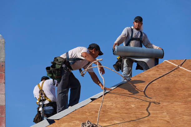Roof Gutter Cleaning in Poplar Grove, IL